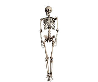 scheletro-umano-halloween